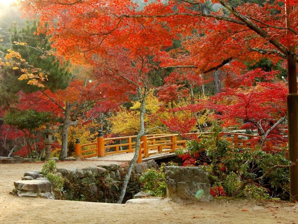 マウンテン ビュー