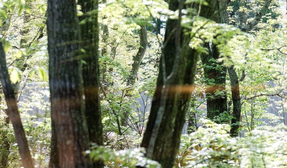 敷地内の風景2 / 3