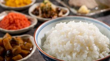 朝食 / 15