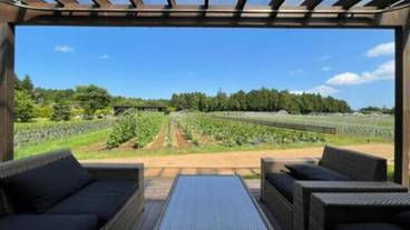 バルコニーからの眺望 / 30