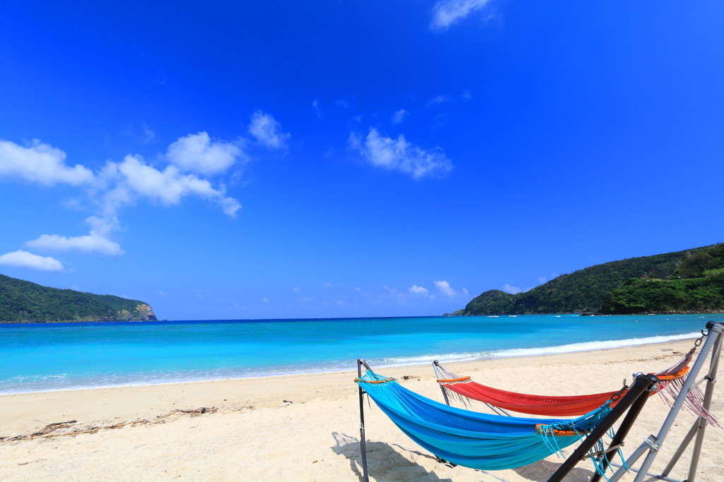 海の青さ、豊かな緑、あたたかい島人･･･魅力溢れる奄美大島3675915