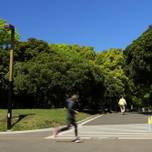 初心者でも走りやすい！東京のおすすめランニングコース10選