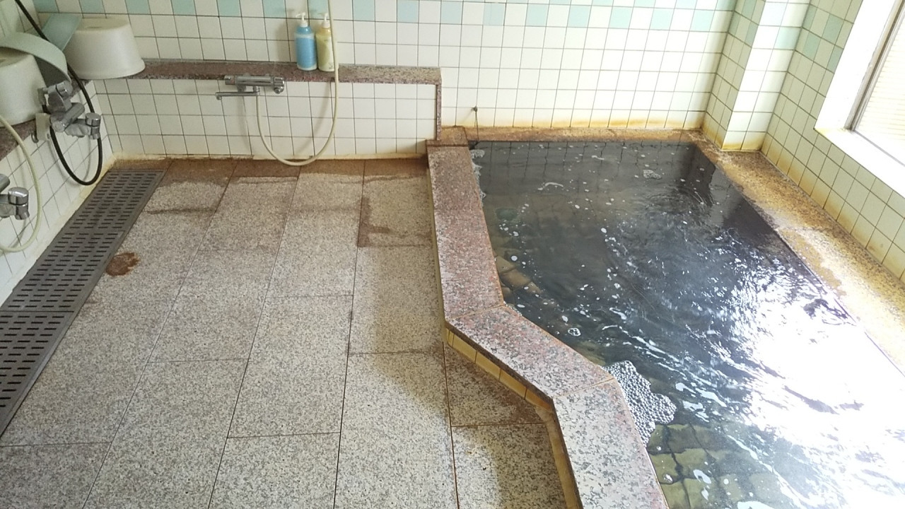 とろけるブリしゃぶと、くつろぎの和風温泉旅館4231608