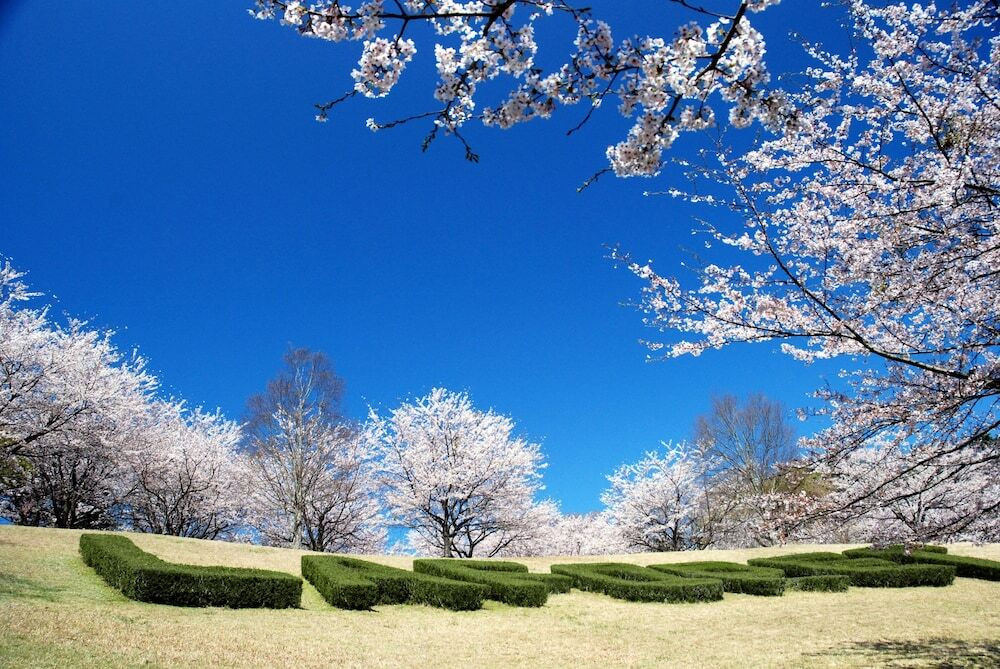 メイン イメージ