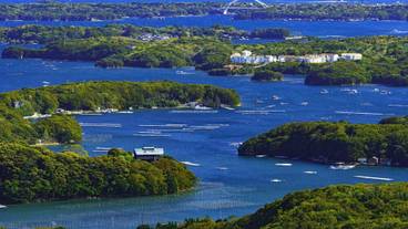 観光スポット / 7