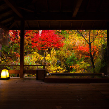 たてしな藍3647006