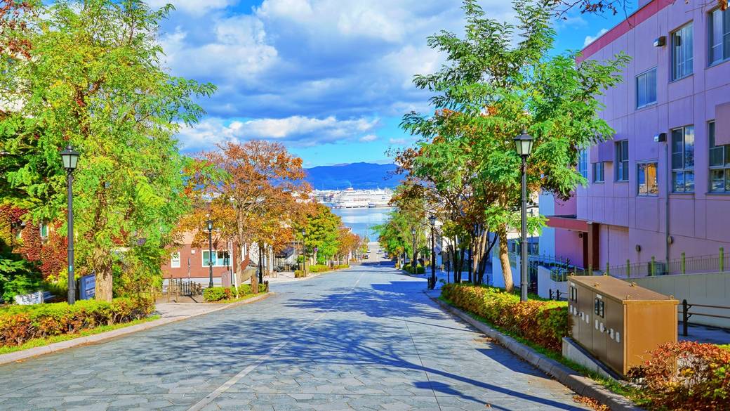 八幡坂 秋のイメージ / 2