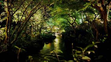庭園 / 24