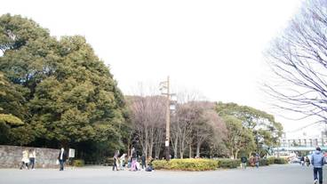 観光スポット / 18