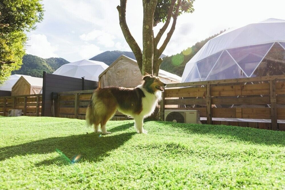 ペット用設備・サービス