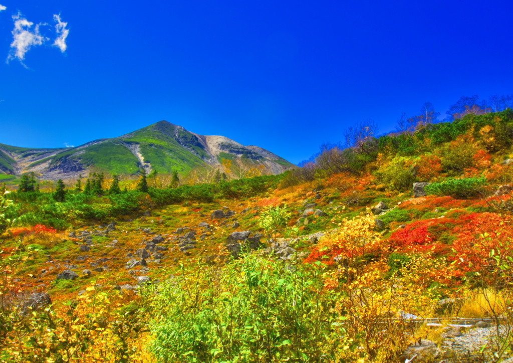 このコースを歩いてみよう！畳平駐車場→肩ノ小屋（かたのごや）→剣ヶ峰4235651