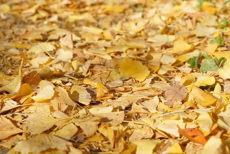 sweeeet._.memoryさんの写真 / 2