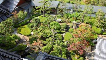 施設の敷地 / 15