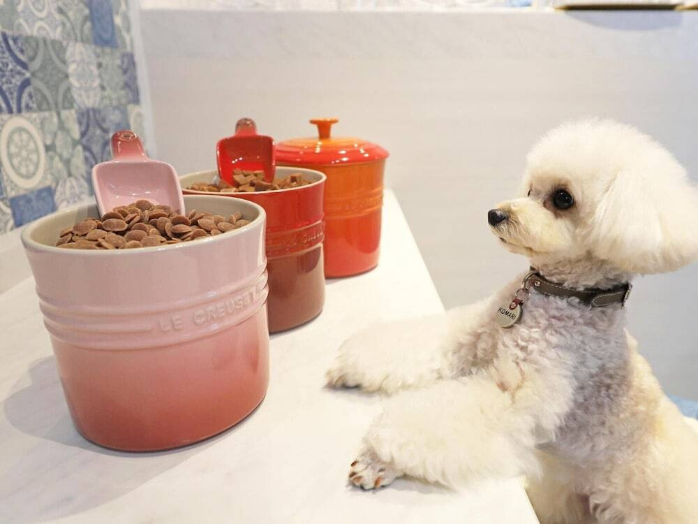 ペット用設備・サービス