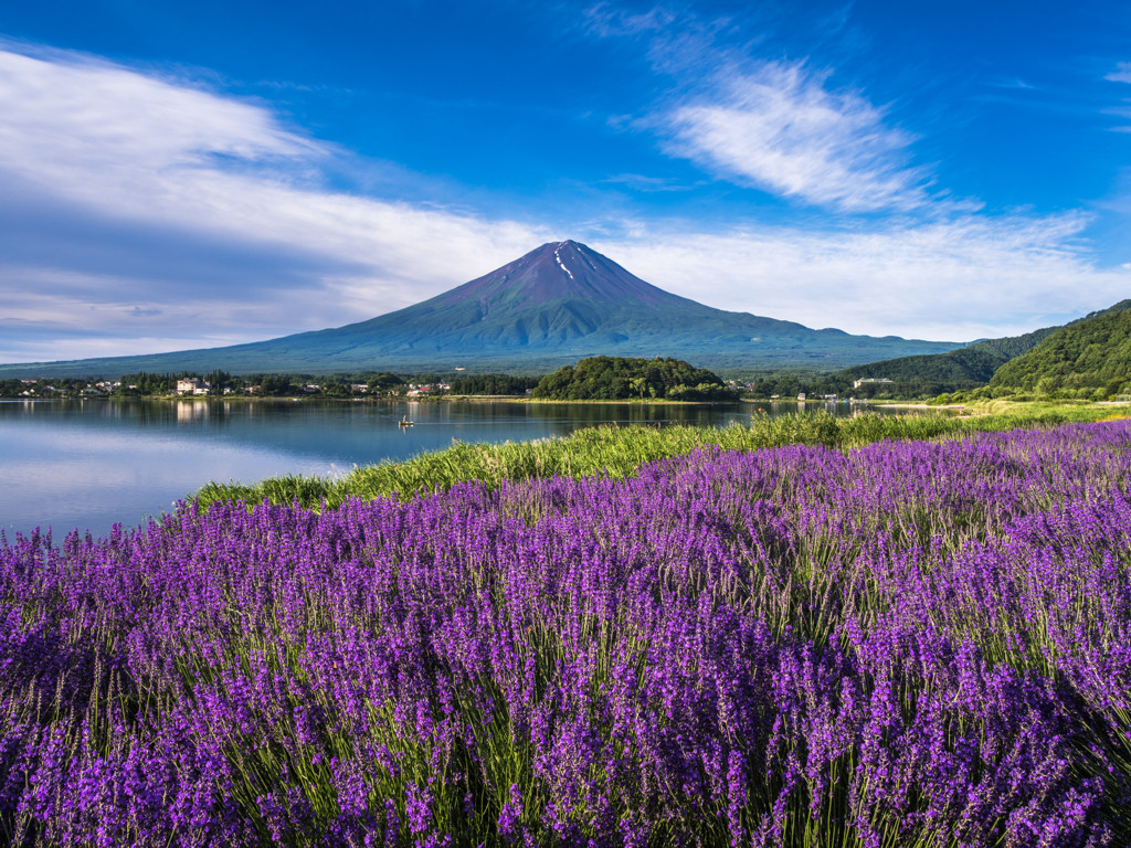 ペットと一緒の旅を楽しめる♡「河口湖＆山中湖」へ出かけよう4115181
