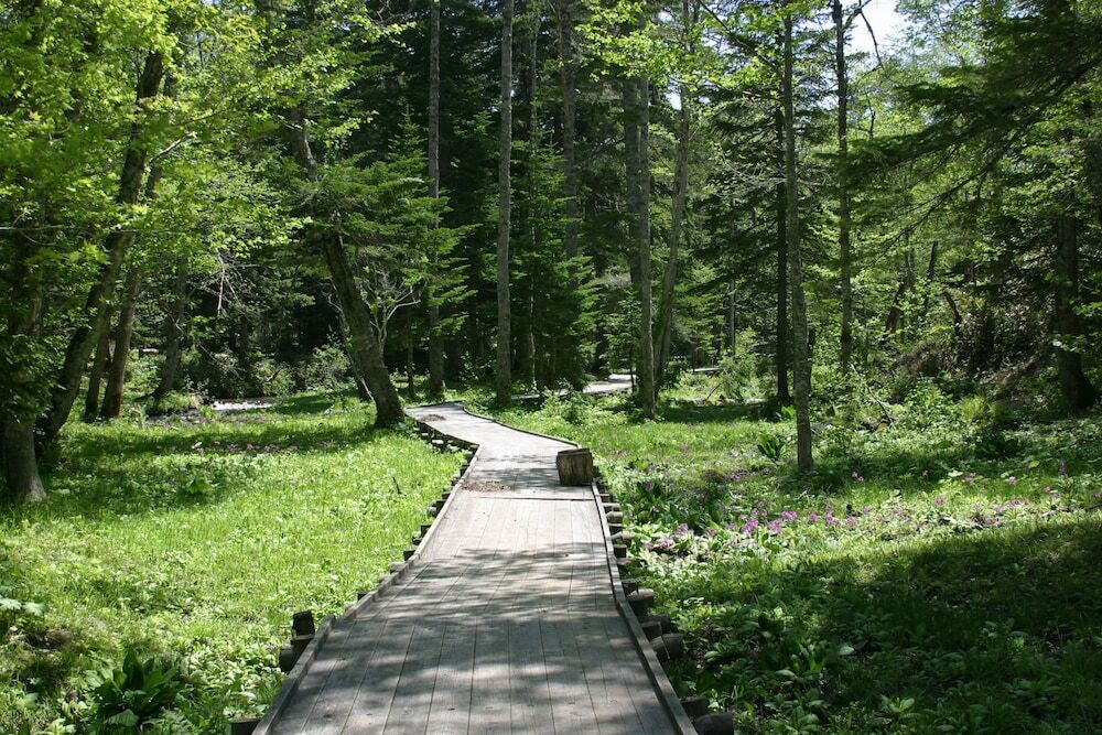 1.ランプの宿 森つべつ【北海道・女満別】4248264