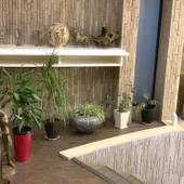 東京プラザホテル（東京都 ビジネスホテル） / 3