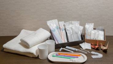 客室の設備とサービス / 29