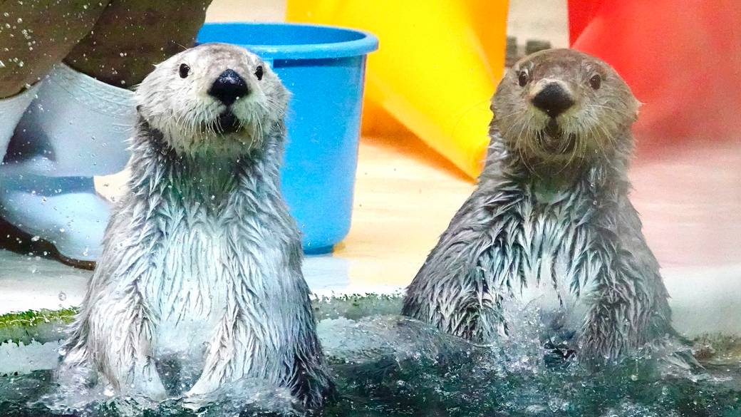鳥羽水族館② / 3