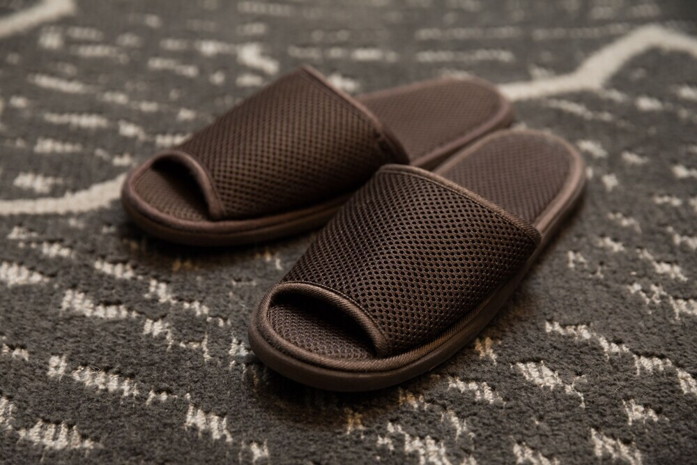 客室の設備とサービス