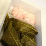 越後屋若狭（エチゴヤワカサ）