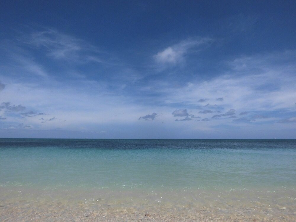 ビーチ / オーシャン ビュー