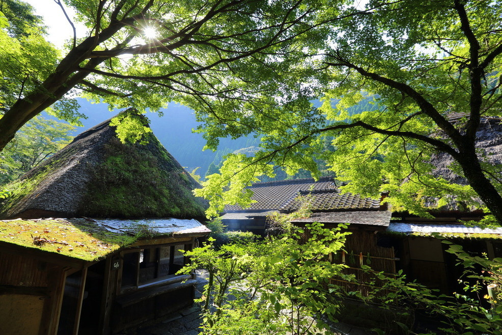 「忘れの里 雅叙苑」 外観 47933817 