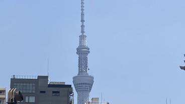 施設からの眺望 / 8