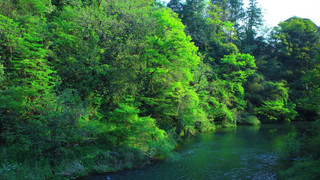 スタンダード ルーム