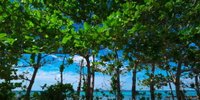 フクギ並木に癒される♡カップル旅で泊まりたい沖縄・備瀬のホテル6選