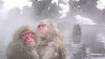 観光スポット / 8