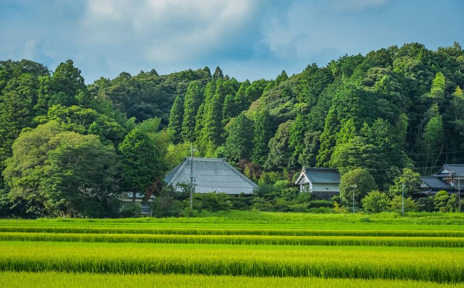 農作業や稲刈りも
里山暮らしを体験 / 3