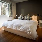 Holly House（長野県 コテージ・ロッジ・一棟貸） / 4