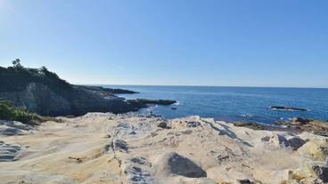 施設からの眺望 / 31