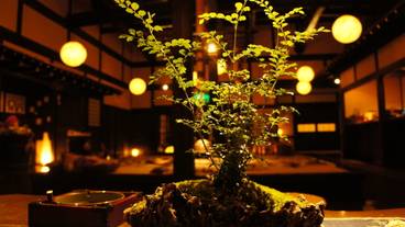 季節の花々② / 4