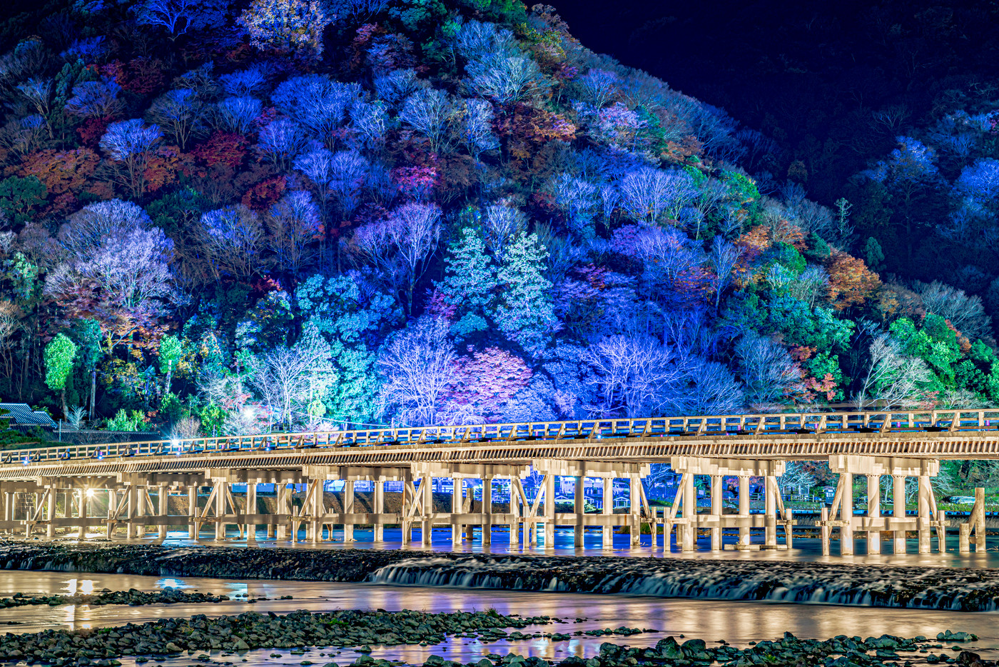 京都　渡月橋　嵐山花灯路