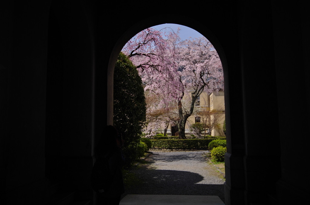 4月は“春”を満喫したい京都1554373