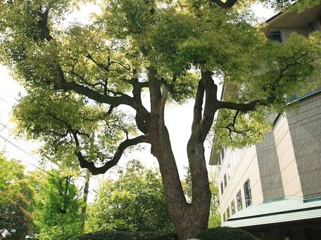 ホテル京都ガーデンパレス / 4