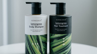 セミダブルルーム 禁煙