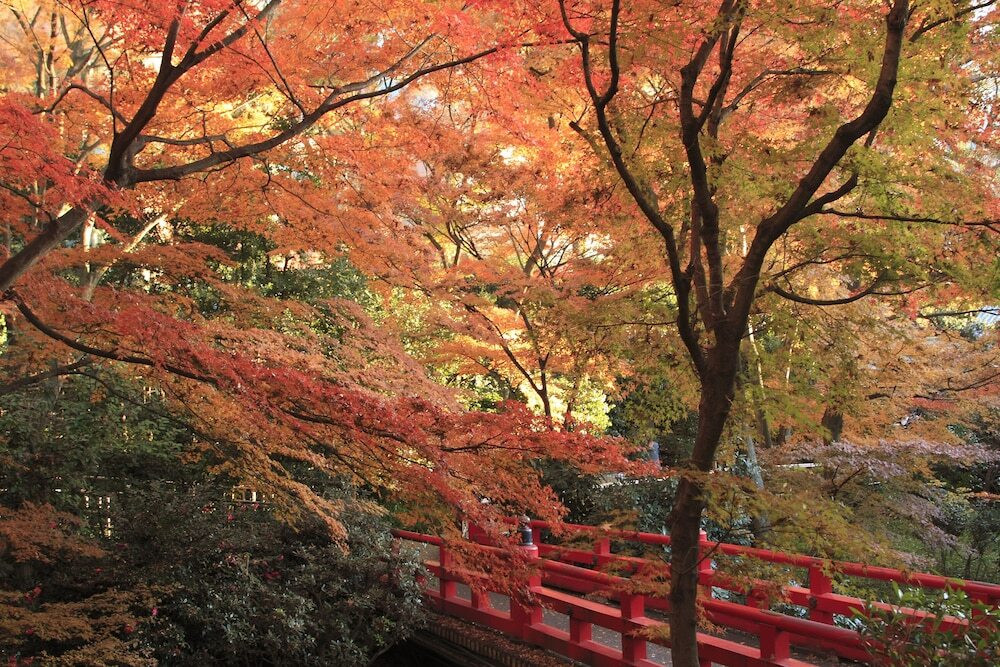 紅葉が見える“ガーデンビュー客室”がおすすめ4041730