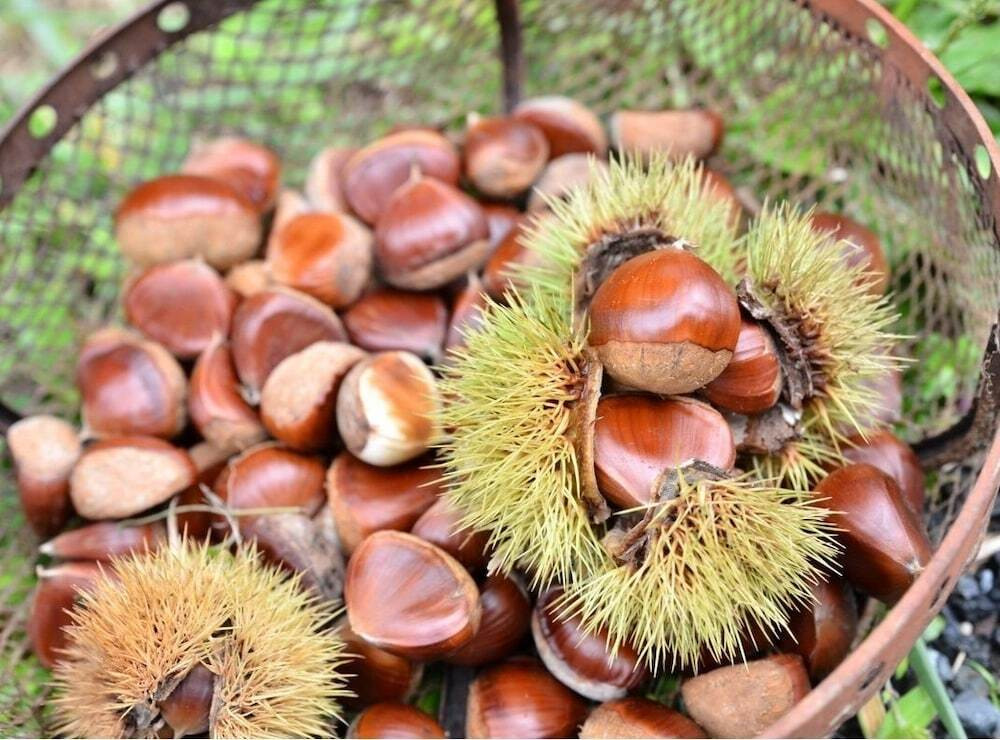 施設からの眺望