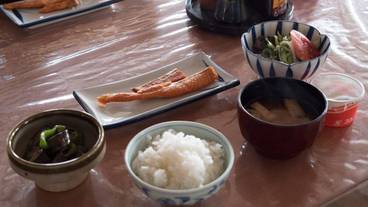 食事・飲み物 / 1