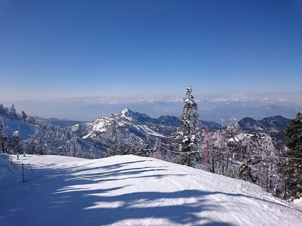 スノー スポーツとスキー