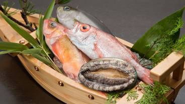 食事・飲み物 / 22