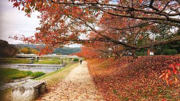 観光スポット / 14