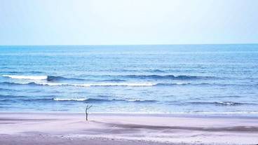 ビーチ / オーシャン ビュー / 16