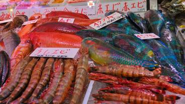 観光スポット / 7