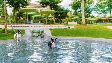 ペット用設備・サービス / 7