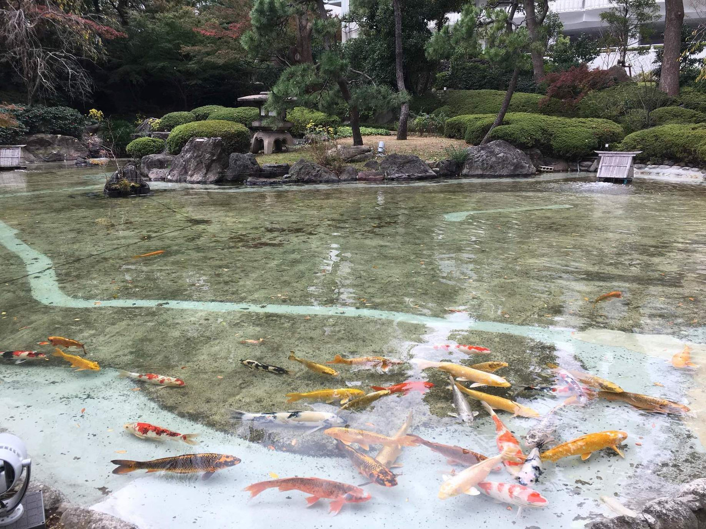 「グランドプリンスホテル 高輪」 その他 76670767 庭園