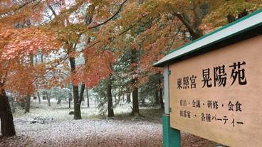 施設の敷地 / 10